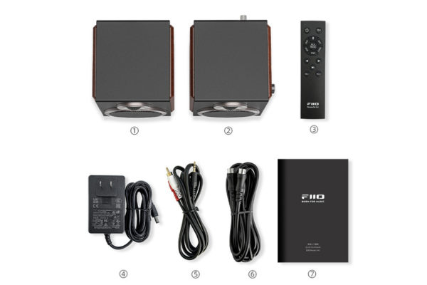 FiiO SA1