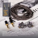 ROSESELSA x AAV CJ20: Audífonos In-Ear Planar Magnéticos | Driver 14.2mm | Tuning para Rock/Metal | Cable Modular 3.5mm/4.4mm